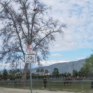 Meet your Posher, Sheila